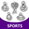 pewter sports