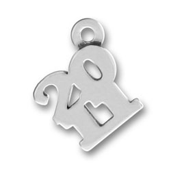 Sterling Silver 2011 Charm