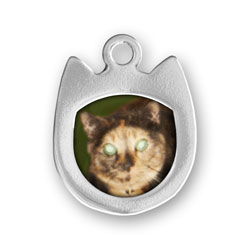 Personalized Charm: Cat Picture Frame